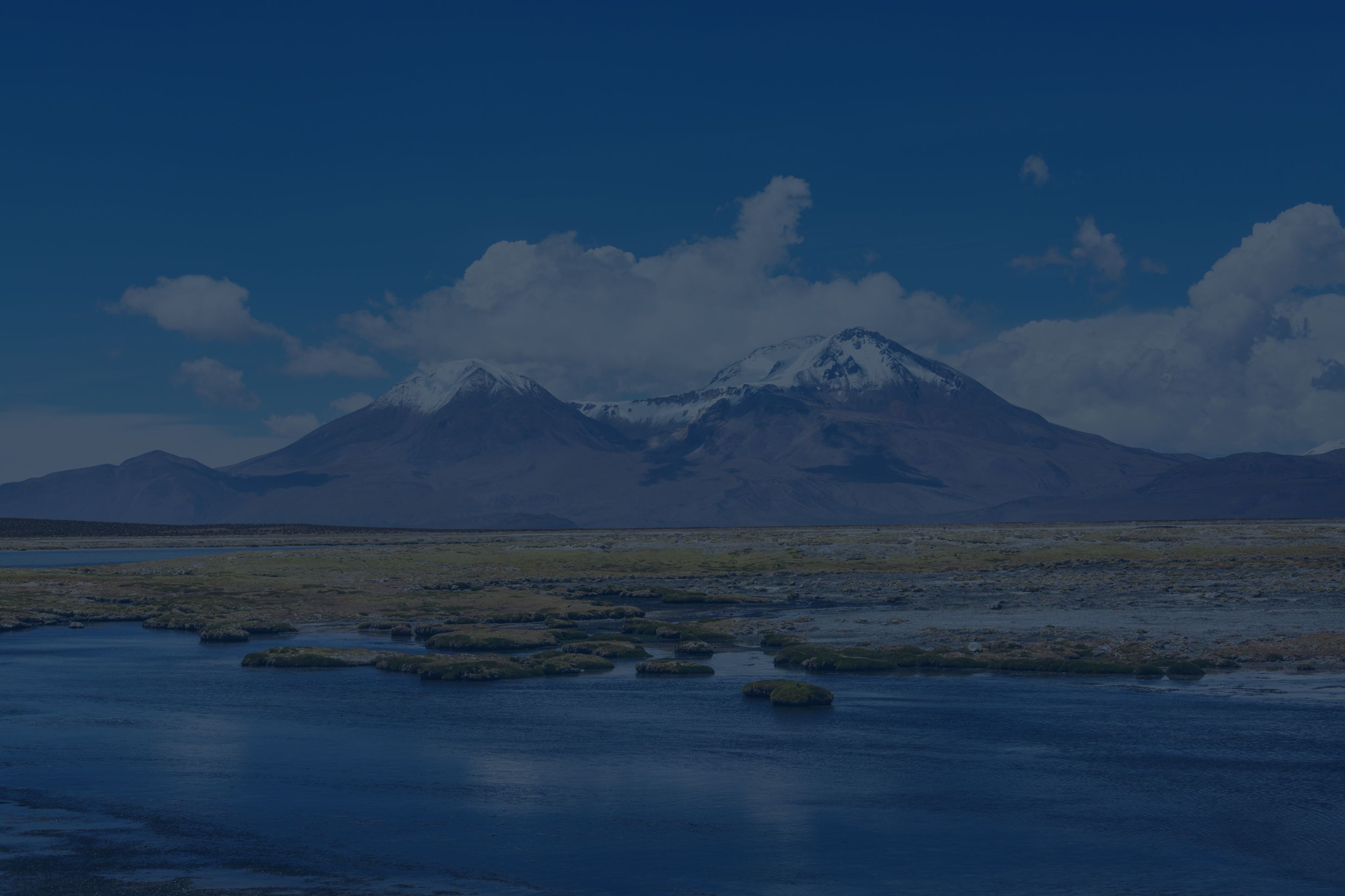 Agricultural Processing